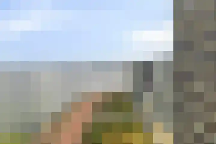 De Boulevard 237 Bergen op Zoom thumbnail 38