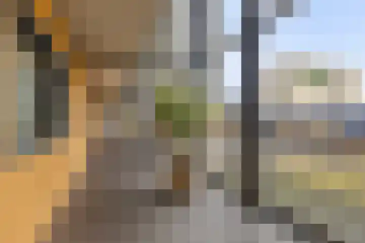 De Boulevard 237 Bergen op Zoom thumbnail 9