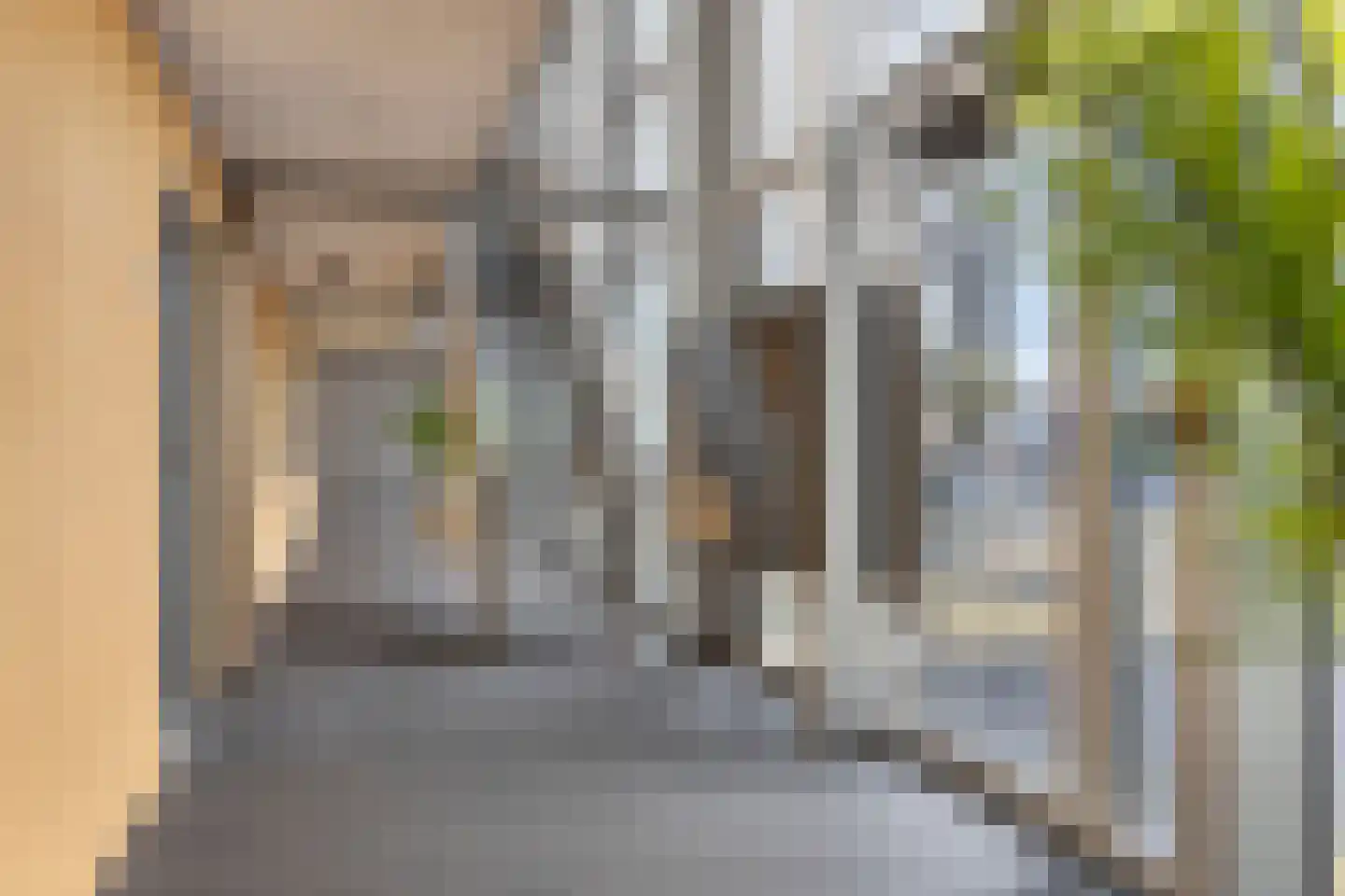 De Boulevard 239 Bergen op Zoom thumbnail 8