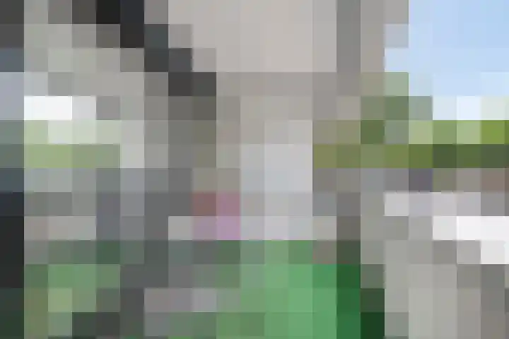 De Boulevard 90 Bergen op Zoom thumbnail 14