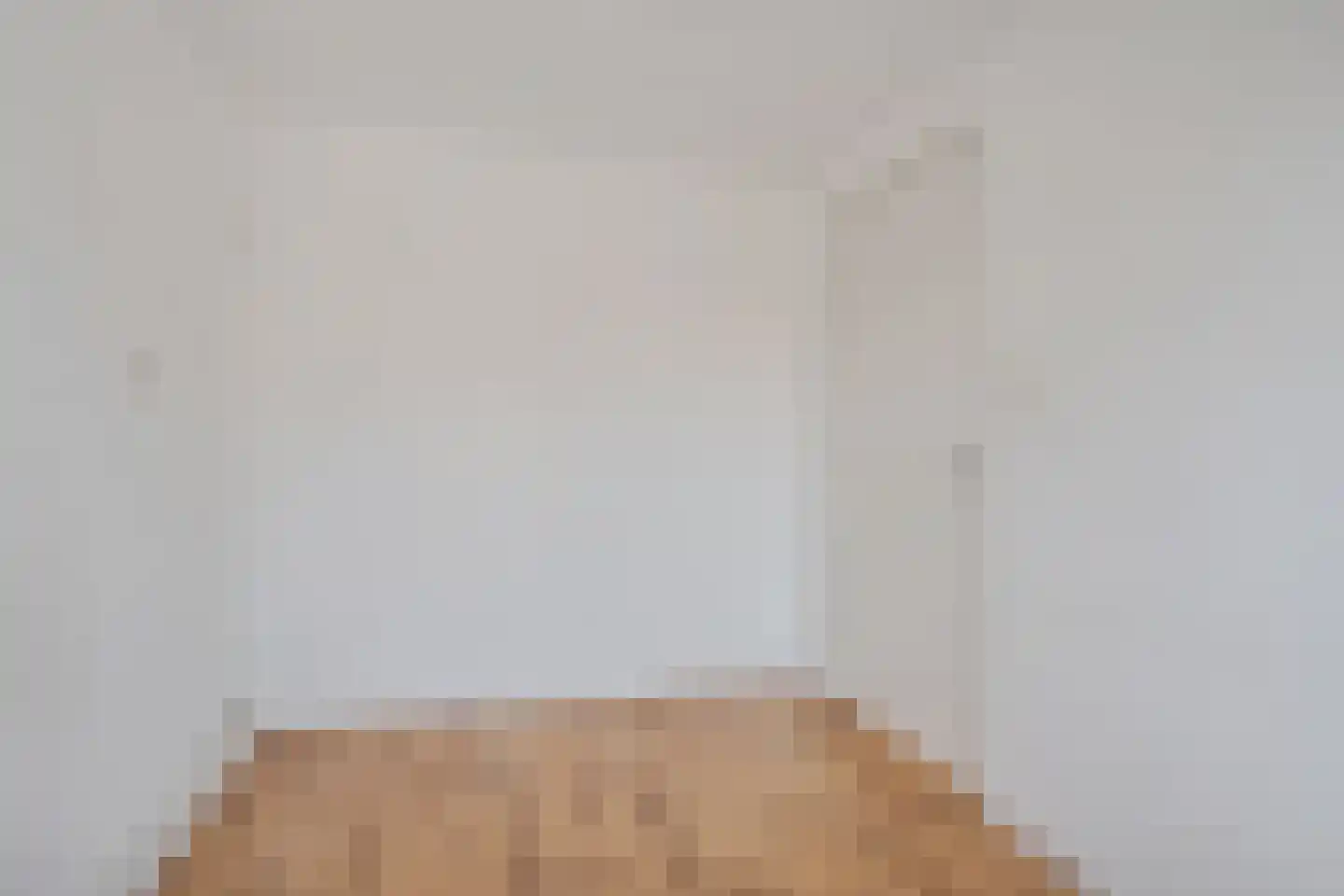 de Bourbonstraat 11 Sneek thumbnail 15