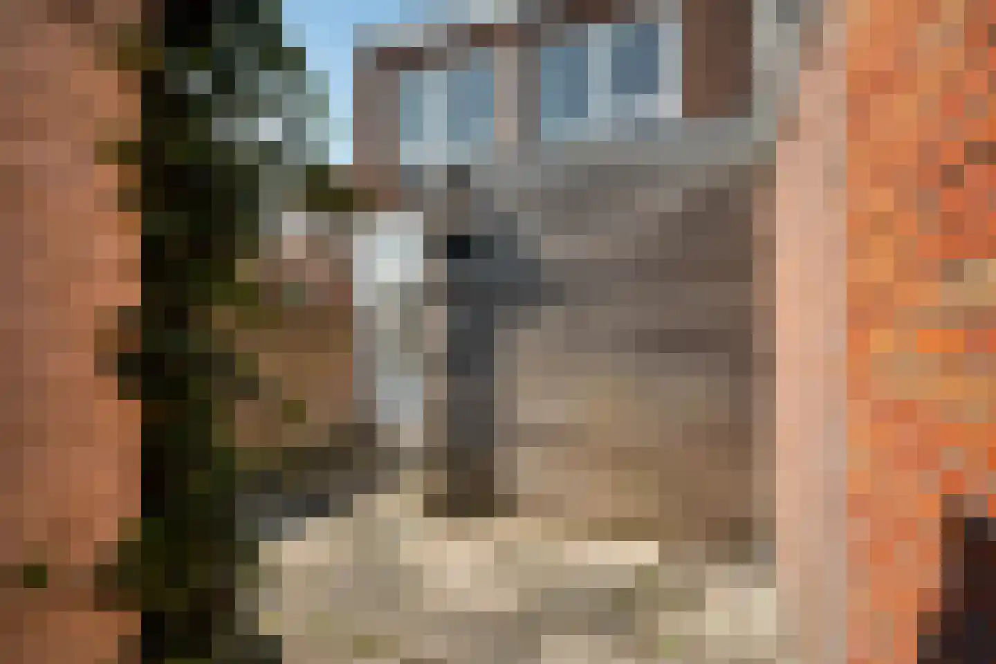 de Bourbonstraat 11 Sneek thumbnail 22