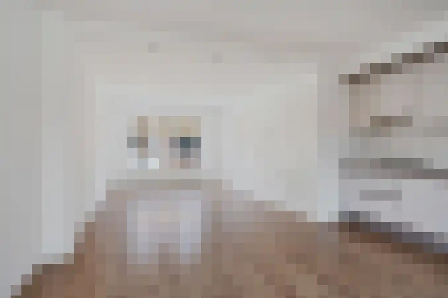 de Bourbonstraat 11 Sneek thumbnail 4