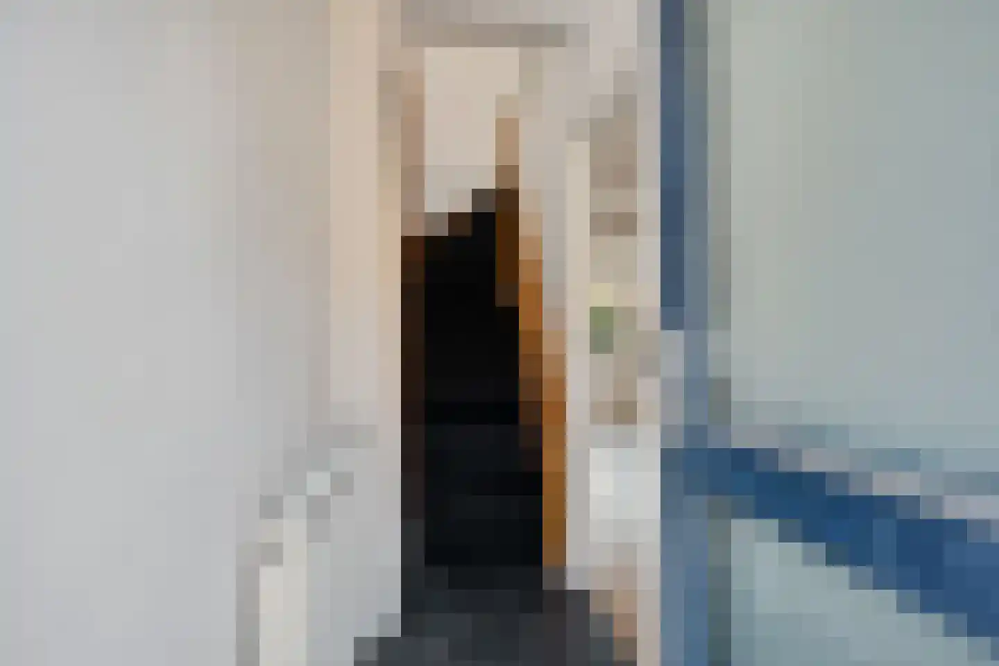 de Bourbonstraat 11 Sneek thumbnail 9