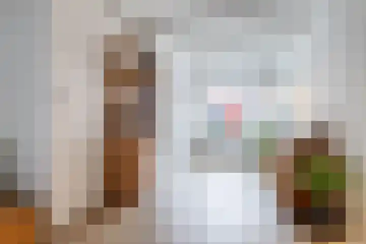 de Bourbonstraat 14 Sneek thumbnail 12
