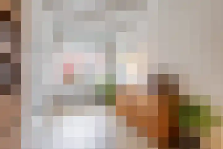de Bourbonstraat 14 Sneek thumbnail 13