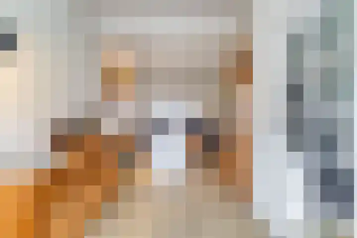 de Bourbonstraat 14 Sneek thumbnail 16