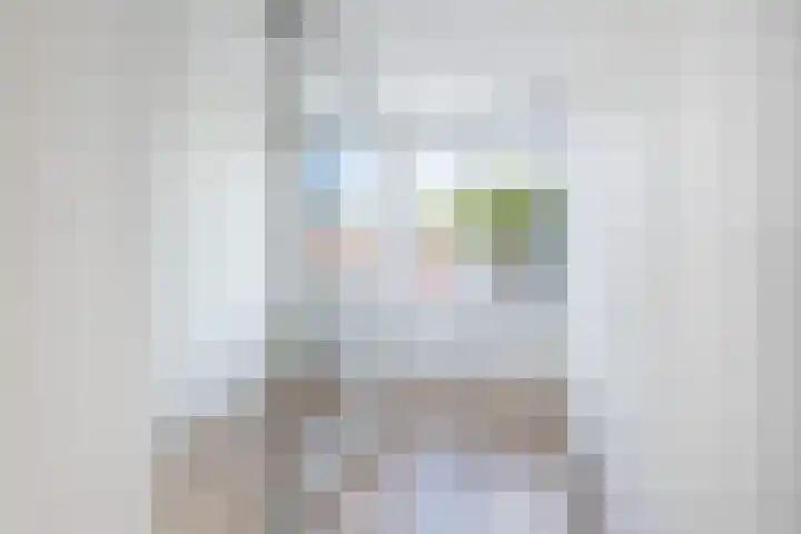 de Bourbonstraat 14 Sneek thumbnail 27