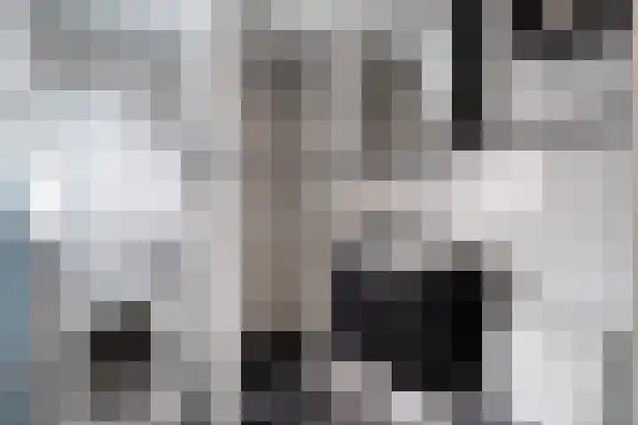 de Bourbonstraat 14 Sneek thumbnail 34
