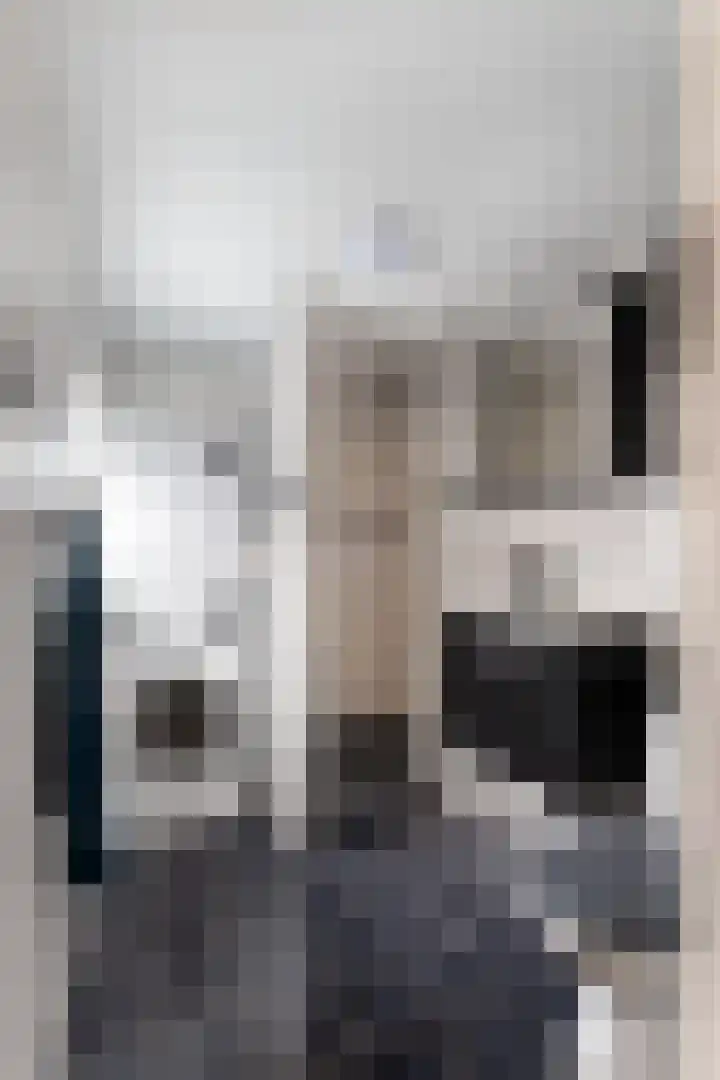 de Bourbonstraat 14 Sneek thumbnail 35