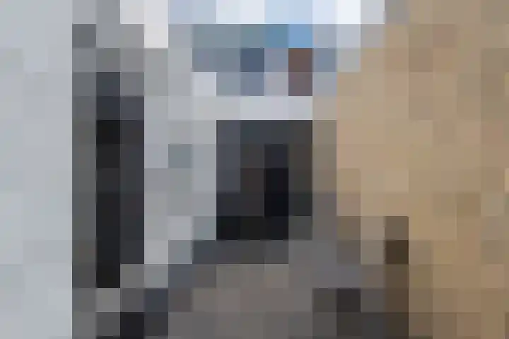 de Bourbonstraat 14 Sneek thumbnail 36