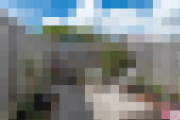 de Bourbonstraat 14 Sneek thumbnail 5