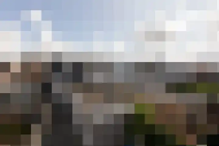 de Bourbonstraat 2 Sneek thumbnail 20
