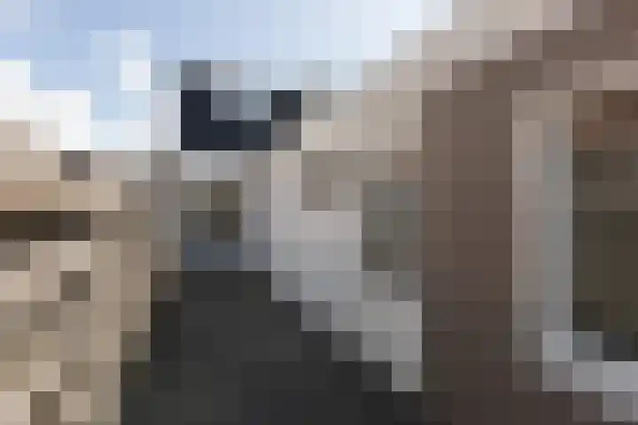 de Bourbonstraat 2 Sneek thumbnail 21