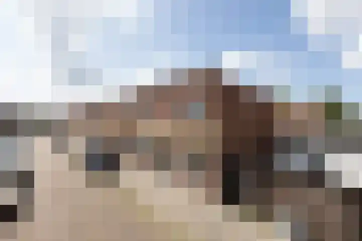 de Bourbonstraat 2 Sneek thumbnail 24