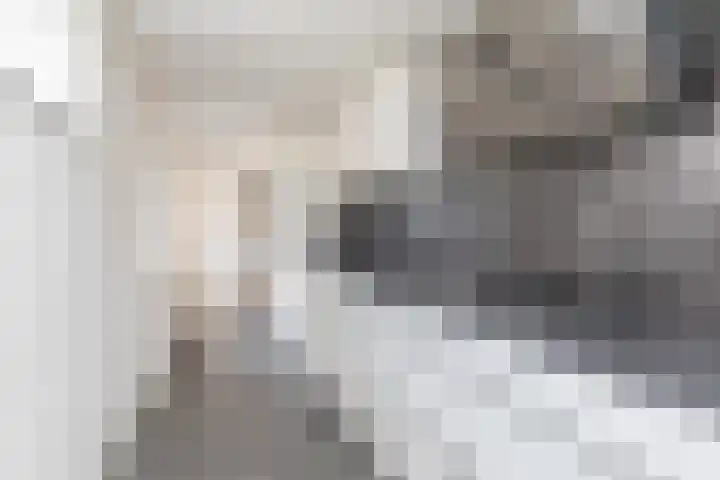 de Bourbonstraat 2 Sneek thumbnail 8