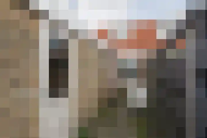 de Bourbonstraat 20 Sneek thumbnail 25