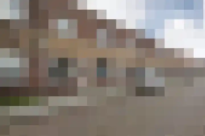 de Bourbonstraat 20 Sneek thumbnail 27