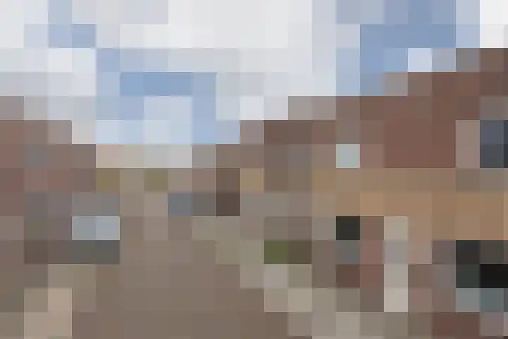 de Bourbonstraat 20 Sneek thumbnail 29