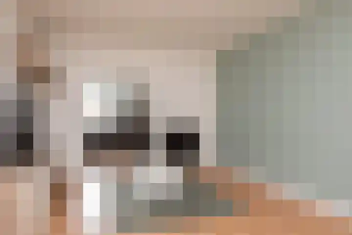 de Bourbonstraat 20 Sneek thumbnail 6