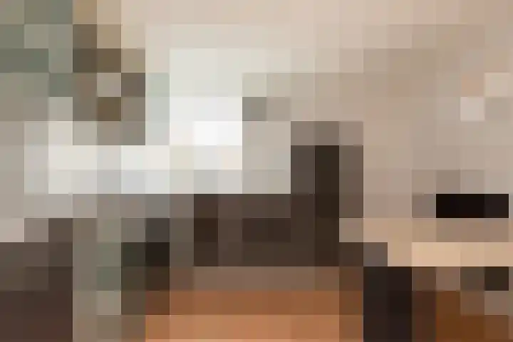 de Bourbonstraat 20 Sneek thumbnail 9