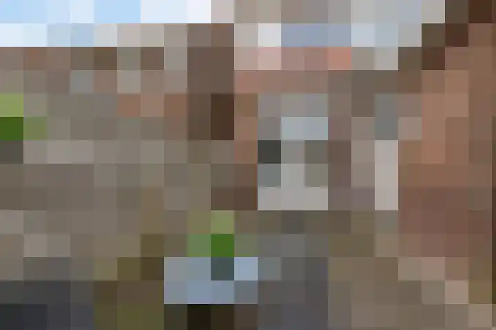 de Bourbonstraat 36 Sneek thumbnail 30