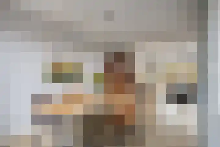 De Bouw 104 Bovenkarspel thumbnail 15