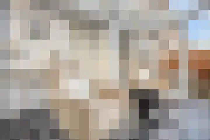 De Bouw 104 Bovenkarspel thumbnail 19