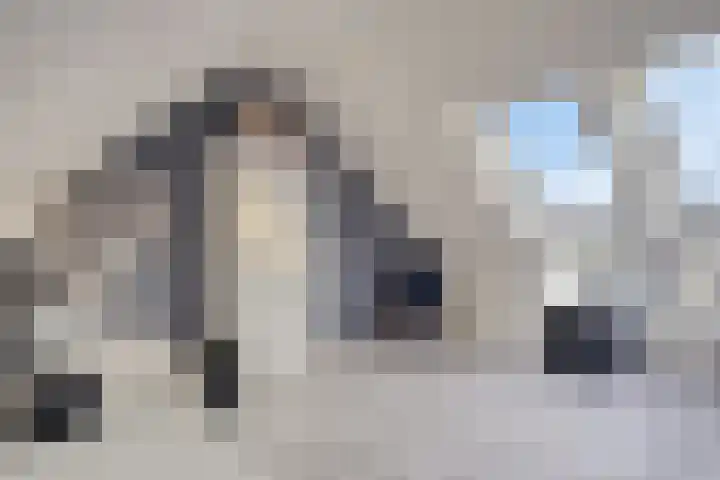 De Bouw 104 Bovenkarspel thumbnail 27