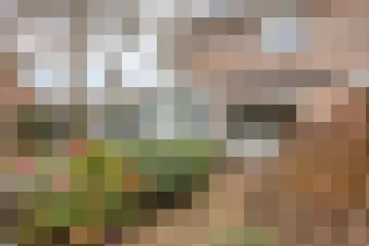 De Bouw 104 Bovenkarspel thumbnail 31