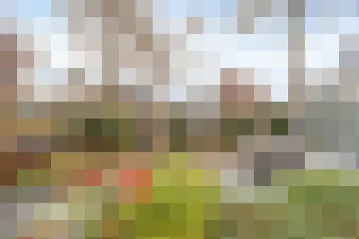 De Bouw 104 Bovenkarspel thumbnail 33