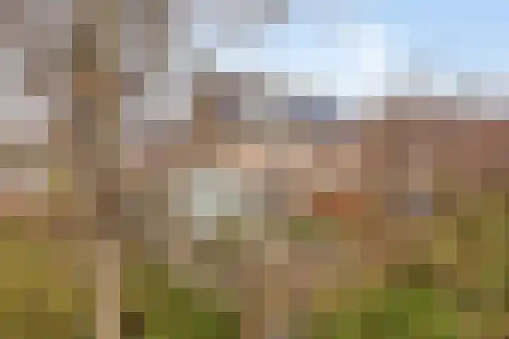 De Bouw 104 Bovenkarspel thumbnail 35