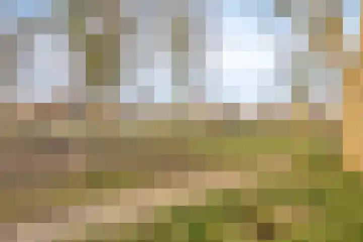 De Bouw 104 Bovenkarspel thumbnail 36