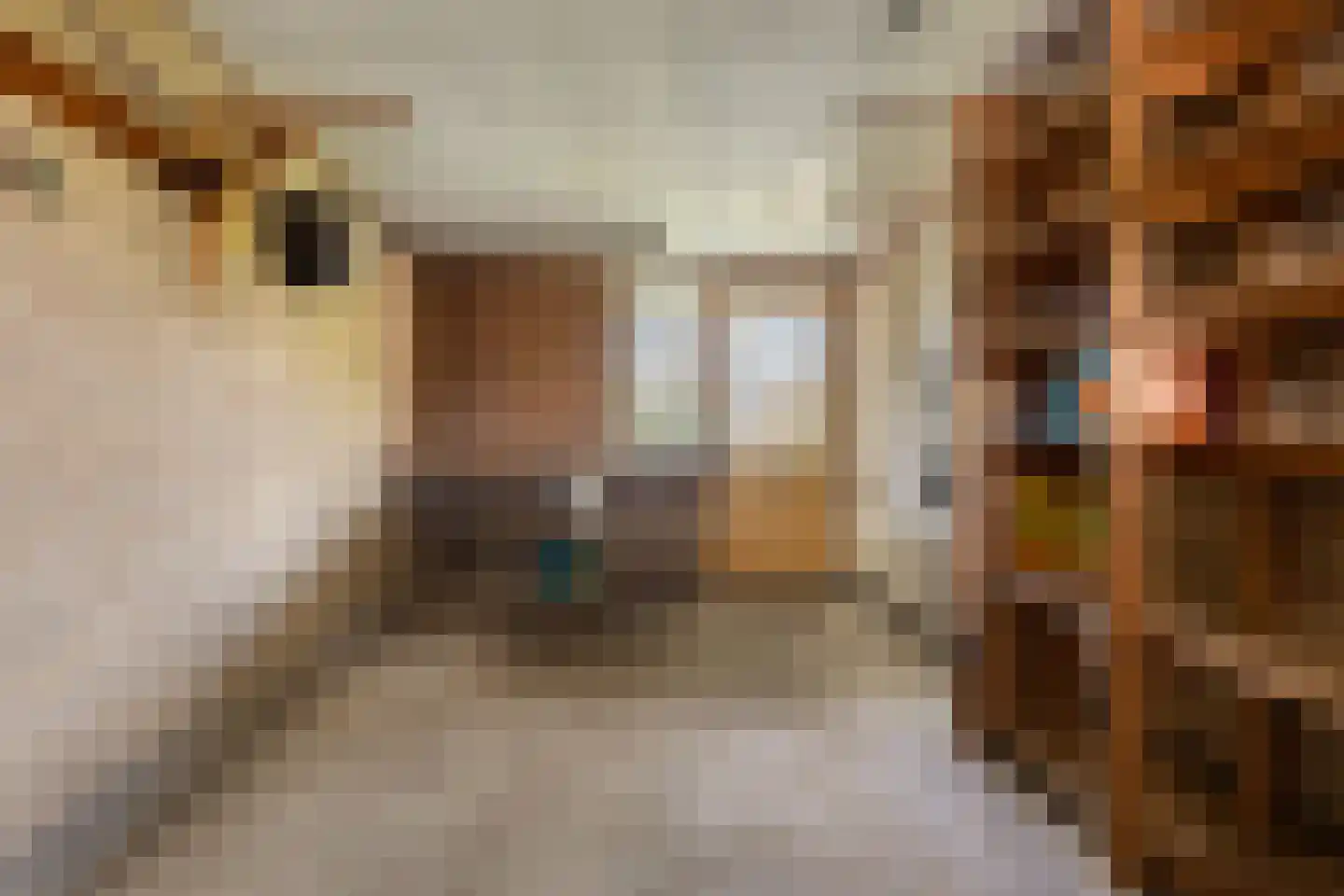 De Bouw 19 Bovenkarspel thumbnail 20