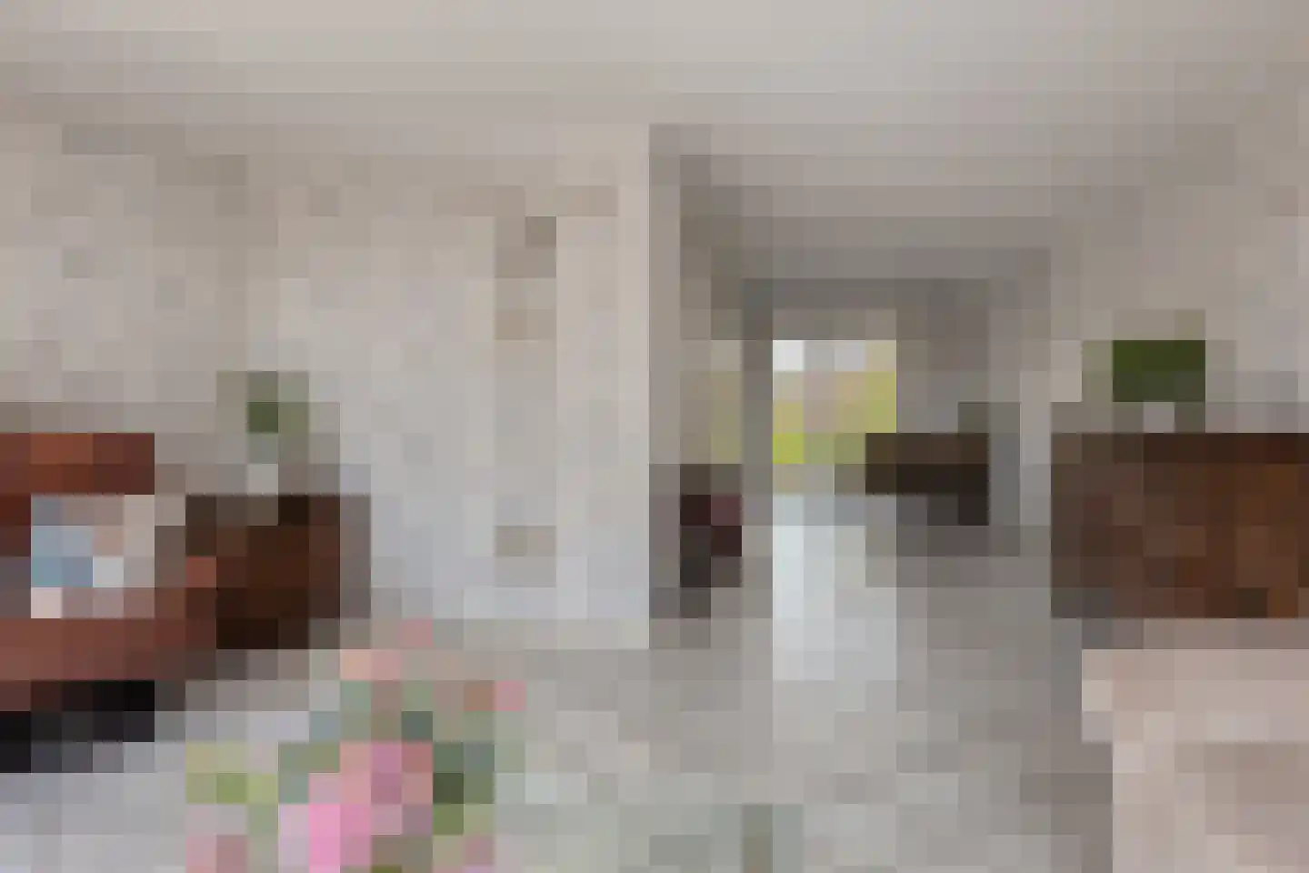 De Bouw 19 Bovenkarspel thumbnail 7