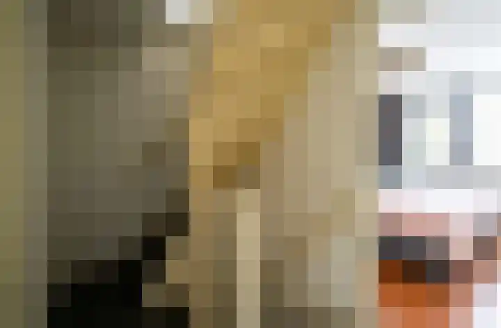 De Bouw 199 Bovenkarspel thumbnail 13