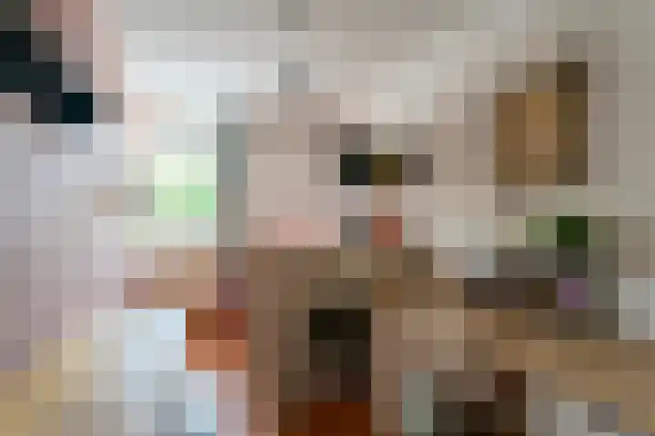 De Bouw 199 Bovenkarspel thumbnail 16