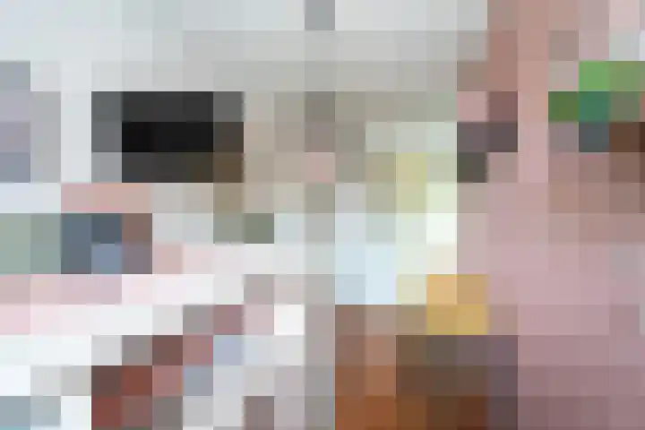 De Bouw 199 Bovenkarspel thumbnail 17