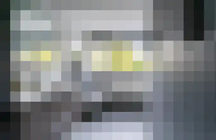 De Bouw 199 Bovenkarspel thumbnail 20