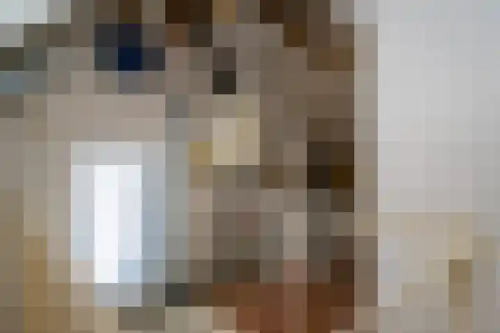 De Bouw 199 Bovenkarspel thumbnail 22
