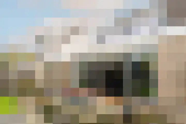 De Bouw 199 Bovenkarspel thumbnail 29