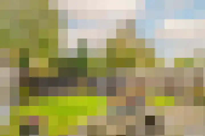 De Bouw 199 Bovenkarspel thumbnail 30