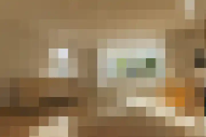 De Bouw 29 Bovenkarspel thumbnail 10