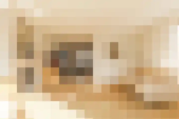 De Bouw 29 Bovenkarspel thumbnail 11