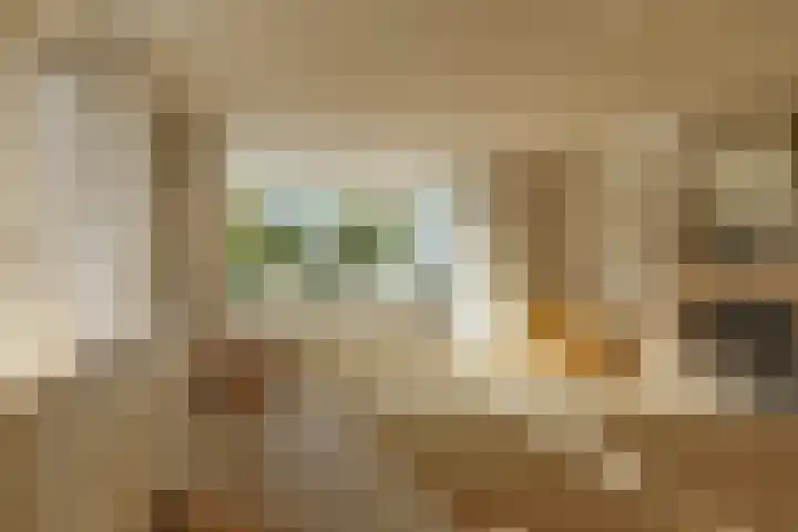 De Bouw 29 Bovenkarspel thumbnail 12