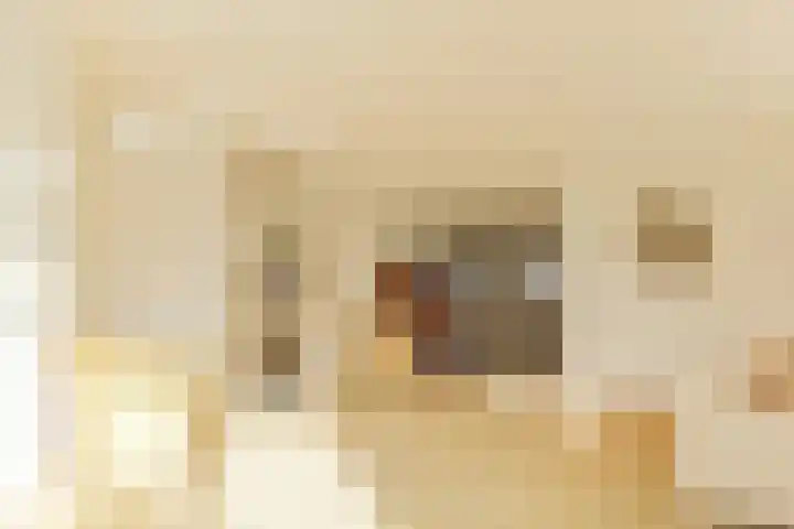 De Bouw 29 Bovenkarspel thumbnail 14