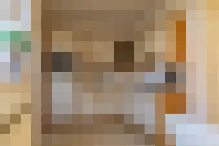 De Bouw 29 Bovenkarspel thumbnail 18