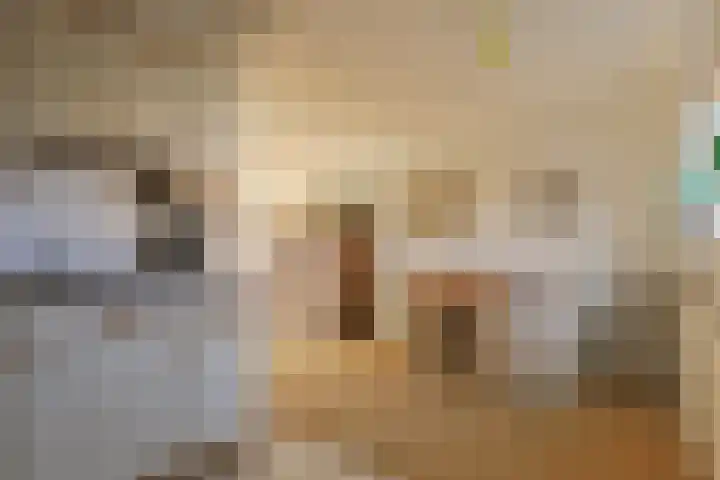 De Bouw 29 Bovenkarspel thumbnail 20
