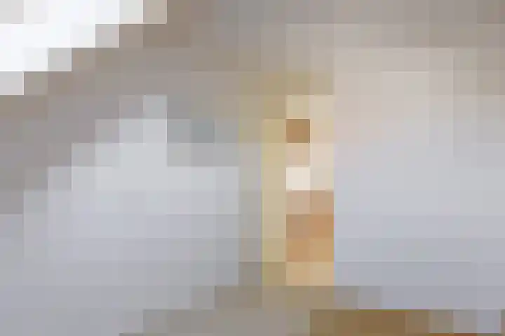 De Bouw 29 Bovenkarspel thumbnail 32