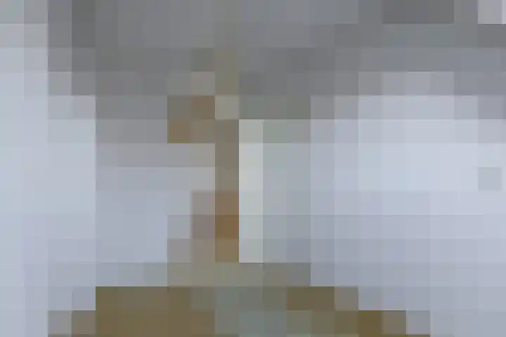 De Bouw 29 Bovenkarspel thumbnail 34